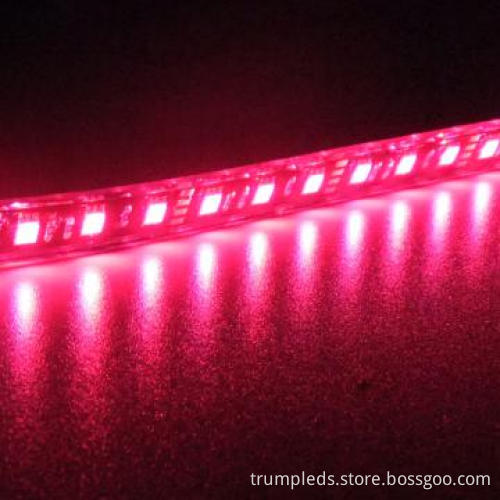 360 Waterproof IP68 RGB 5050 LED Stripe Light